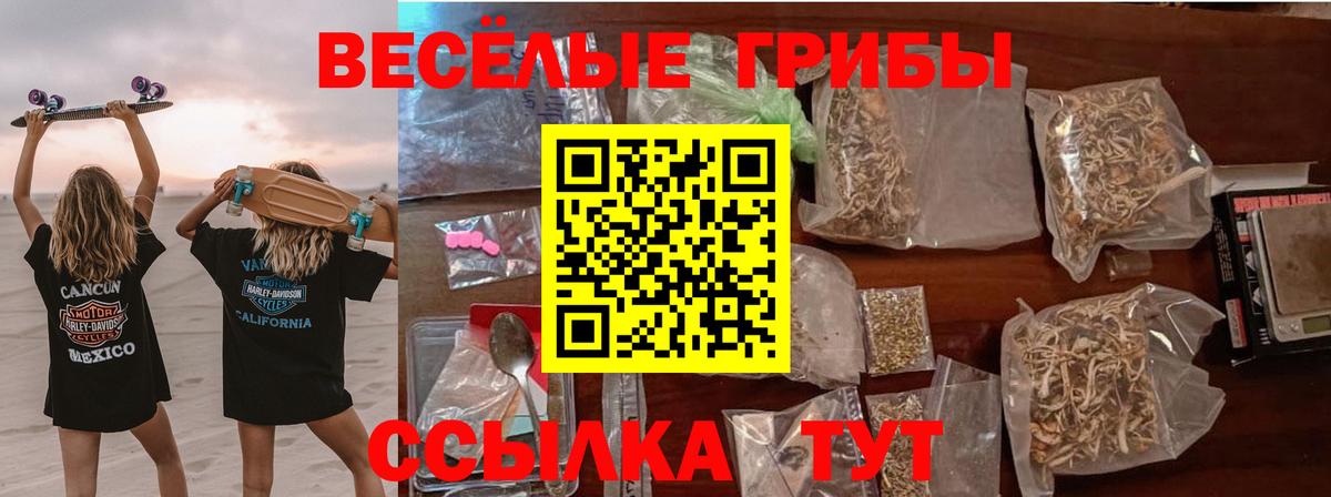 Псилоцибиновые грибы Cubensis  Вход с VPN  Кумертау 